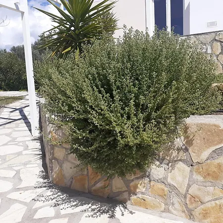 Panorama View Evia Greece * Kamaritsa
